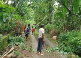 Antisipasi Gangguan Listrik, Warga Padukuhan Kerdon Kompak Gelar Kerja Bakti Pemangkasan Pohon